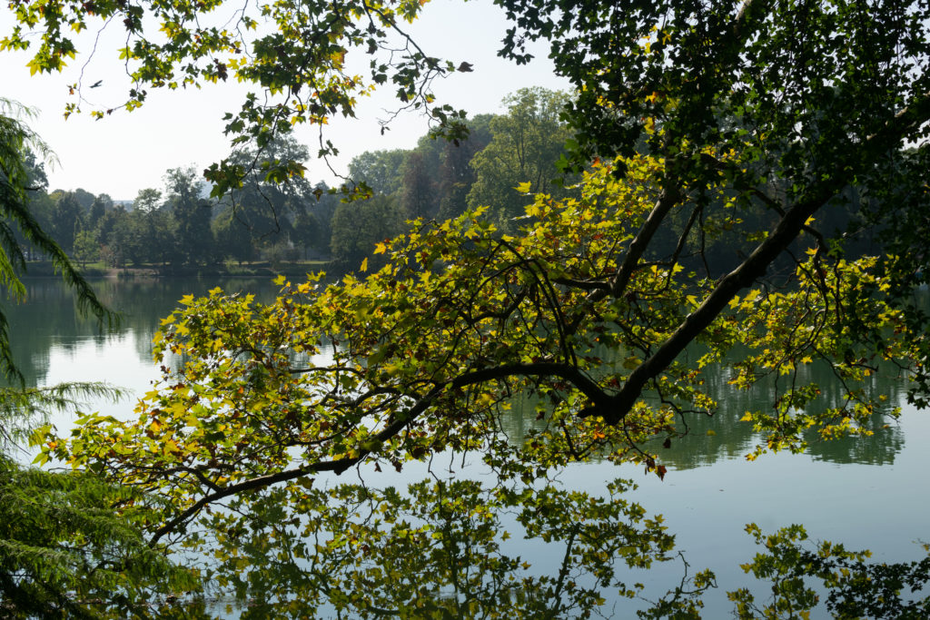 nature parc de la tete dor d or lac balade automne arbre eau