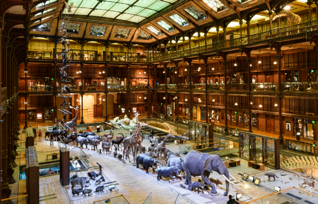 museum national histoire naturelle grande galerie de l evolution