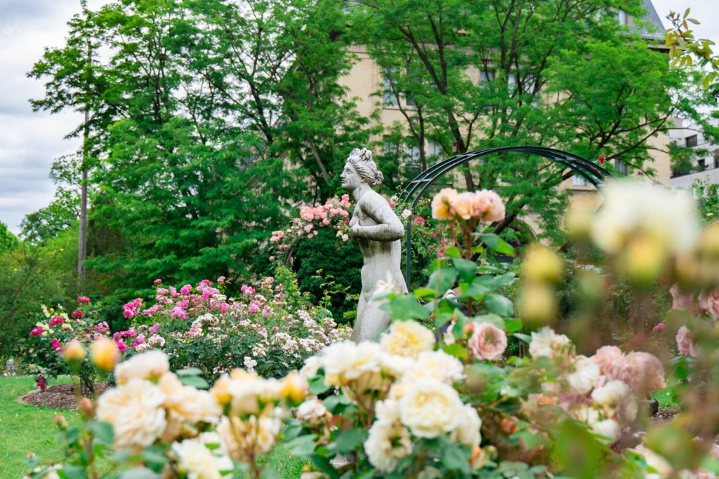 jardin des plantes paris parc fleurs ombre summer ete été